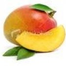 Mango Perfume Oil