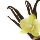 Tahitian Vanilla Perfume Oil