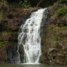 Tahitian Waterfall Perfume Oil