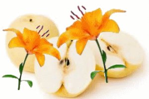 Asian Pear & Lily Conditioning Scented Pumice Stone
