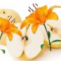 Asian Pear & Lily Conditioning Scented Pumice Stone