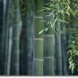 Bamboo Hemp Conditioning Scented Pumice Stone