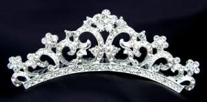 Princess Conditioning Scented Pumice Stone