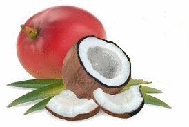 Coconut Mango Conditioning Scented Pumice Stone