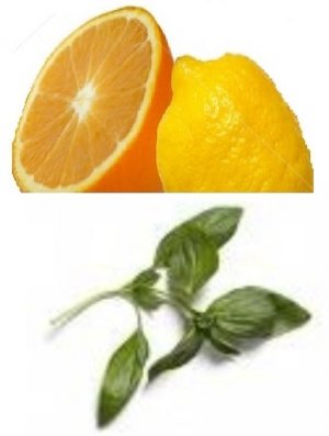 Citrus & Basil Conditioning Scented Pumice Stone
