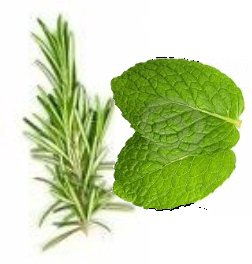 Rosemary Mint Conditioning Scented Pumice Stone