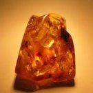 Amber Dreams Scented Hand Sanitizer
