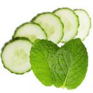 Cucumber Mint Scented Hand Sanitizer