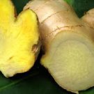 Fresh Ginger Scented Hand Sanitizer