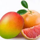 Grapefruit Mango Scented Hand Sanitizer