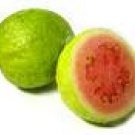 Guava Scented Hand Sanitizer