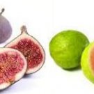 Guava Fig Scented Hand Sanitizer
