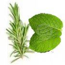 Rosemary Mint Scented Hand Sanitizer