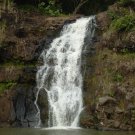 Tahitian Waterfall Scented Hand Sanitizer