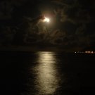 Moonlight Scented Kona Coffee Exfoliating Face Scrub