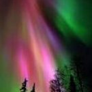 Aurora Borealis Scented Kona Coffee Exfoliating Face Scrub