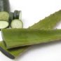 Aloe & Cucumber Scented Kona Coffee Exfoliating Face Scrub