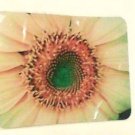 Mouse Pad Sunflower 9 x 7 photo computer new