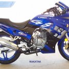  2006 NINJA STYLE STREET BIKE