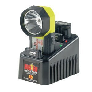 Big Ed Rechargeable, System, 110V Trickle Charger