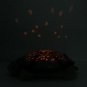 Fun Constellation Turtle Lamp Twilight Night Light Star free shipping