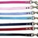 Leashes / Collars