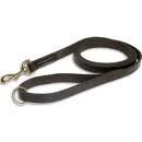Leather Leash - Brown (10')