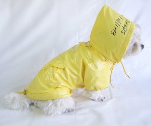 Raincoat (S, M)