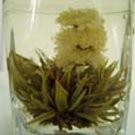 Three Chrysanthemums (Item No. 1022)
