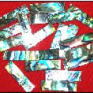Abalone Shell Blank (Item: GPS1009)