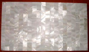 Chinese River Shell  Tiles (100 units)