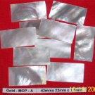 100 pcs of  Wild Silver Mother of Pear shell