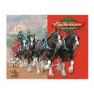 Budweiser Beer Clydesdales Tin Sign