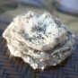 Felted brooch Grey Papaver, from Merino wool & Sari Silk