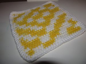 Variegated Yellow Hot Pad