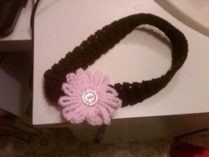 Customize your own Head Band with Daisy