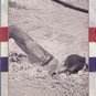 US Olympics Hall of Fame Johnny Weissmuller Card