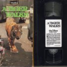 Disney A TIGER WALKS 1964 VERA MILES Brian Keith VHS