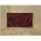 CUSTOM 5x9 BLURRBLED TRAY