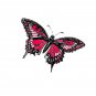 Hot Pink Butterfly