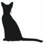 Siamese Cat