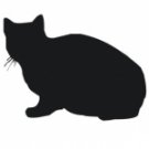 Sitting Cat