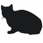 Sitting Cat