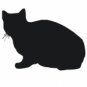 Sitting Cat