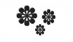 Daisies
