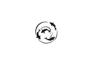 Koi Whirlpool