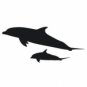 Mother and Baby dolphin