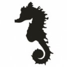 Sea Horse