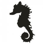 Sea Horse