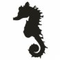 Sea Horse